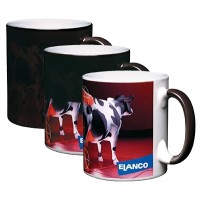 Heat Changing Mug Heat Changing Mug