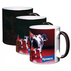 Heat Changing Mug Heat Changing Mug
