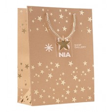 Sparkle Festive Paper Gift Bag