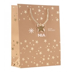 Festive Paper Gift Bag